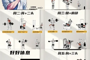 为什么体型管理是篮球训练的重要组成部分:全面提升运动表现的关键